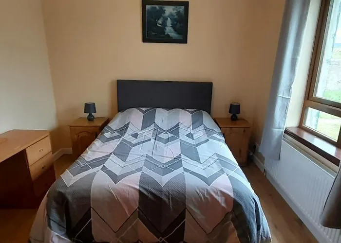 Biddys Донегол