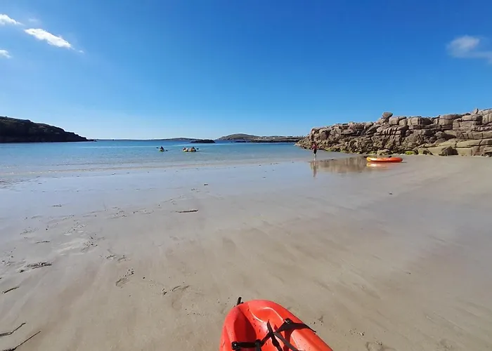 Biddys * Донегол