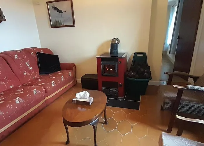 Biddys Донегол